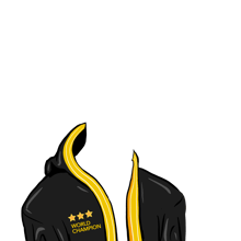 World Champion Robe