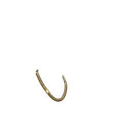Gold Chain